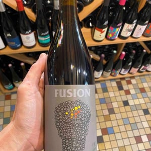 Fusion - No Control - Vincent Marie 
