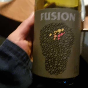 Fusion - No Control - vincent-marie