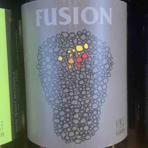 Fusion - No Control - vincent-marie