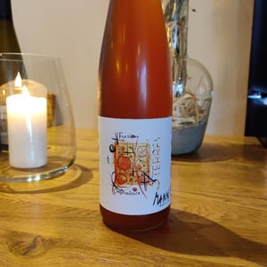 Fusion Pelliculaire - Domaine Mann - Vignoble Des 3 Terres - sebastien-jean-louis-fabienne-mann -2022