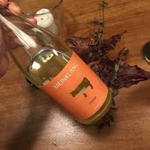 Fusion - Meinklang - Weingut Michlits - angela-werner-michlits
