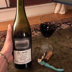 Domaine Le Clocher - Les Vins de Sainte Anne - Brendan & Sean Tracey - Fuzz