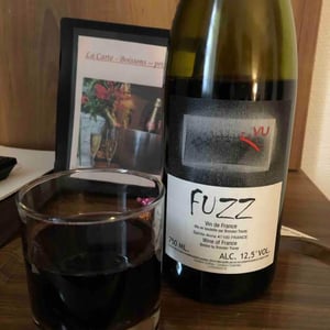 Domaine Le Clocher - Les Vins de Sainte Anne - Brendan & Sean Tracey - Fuzz