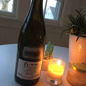 Domaine Le Clocher - Les Vins de Sainte Anne - Brendan & Sean Tracey - Fuzz