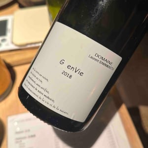 G enVie - Laurent Bannwarth - Stéphane Bannwarth -2018