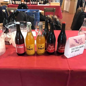 G-Ray - Tenuta l'Armonia - Andrea Pendin 
