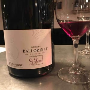 G. Soif - Domaine Ballorin - Gilles Ballorin 