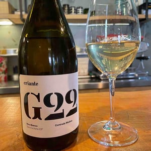 G22 - Bioviola - Irène & Davide 