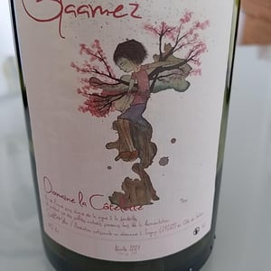 Gaamez - Domaine de la Côtelette - Sandra et Benoît Kilian 