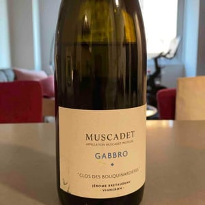 Domaine de Bellevue - Jérôme Bretaudeau - Gabbro