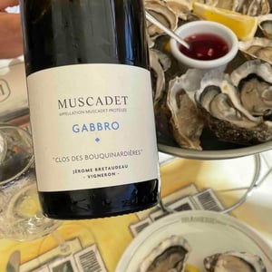 Gabbro - Domaine de Bellevue - jerome-bretaudeau