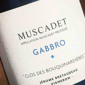 Domaine de Bellevue - Jérôme Bretaudeau - Gabbro