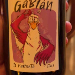 Gabián - Il Farneto - Marco Bertoni 