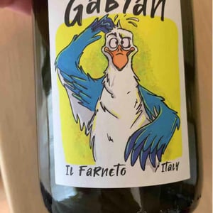 Gabián - Il Farneto - Marco Bertoni -2022