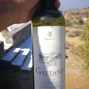 Gaetano - Mercati Estate - mercati-estate