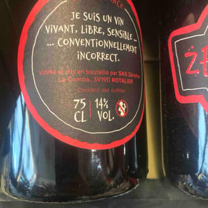 GaGa - ZérOine - maylis-bernard -2020
