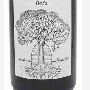 Gaïa - Domaine de Bellevue - Jérôme Bretaudeau 