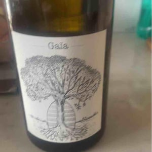 Gaïa - Domaine de Bellevue - Jérôme Bretaudeau 