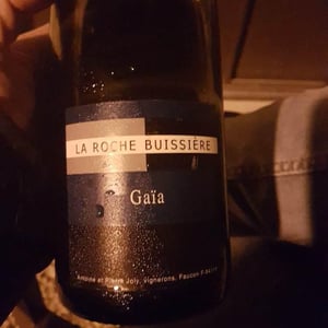 La Roche Buissière - Laurence & Antoine Joly - Gaïa