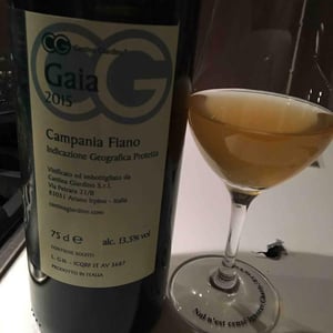 Gaia - Cantina Giardino - antonio-di-gruttola-daniela-de-gruttola -2019
