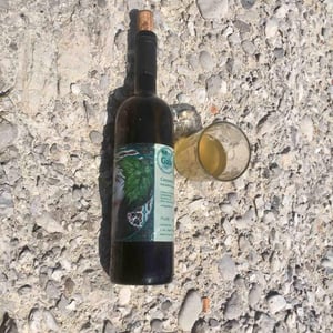Gaia - Cantina Giardino - antonio-di-gruttola-daniela-de-gruttola -2019