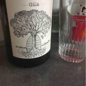 Domaine de Bellevue - Jérôme Bretaudeau - Gaïa