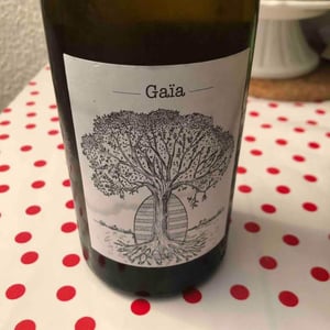 Gaïa 2015