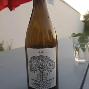 Gaïa - Domaine de Bellevue - jerome-bretaudeau