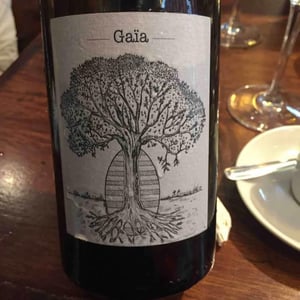 Domaine de Bellevue - Jérôme Bretaudeau - Gaïa