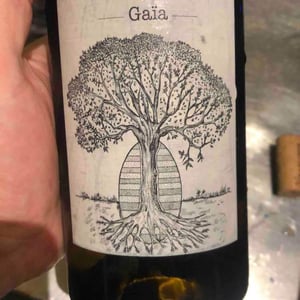 Domaine de Bellevue - Jérôme Bretaudeau - Gaïa