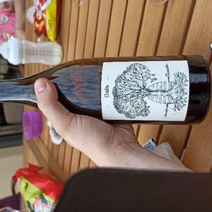 Domaine de Bellevue - Jérôme Bretaudeau - Gaïa