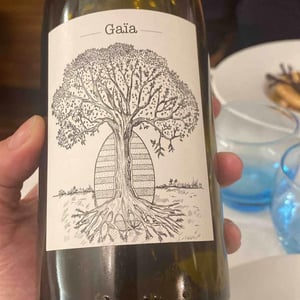 Domaine de Bellevue - Jérôme Bretaudeau - Gaïa