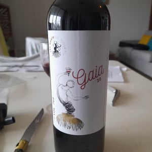 Gaia - Les Hauts De Riquets - Ivan & Léa Bireaud 