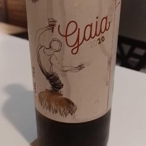 Gaia - Les Hauts De Riquets - Ivan & Léa Bireaud 