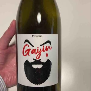 Gaijin - L'Acino - Dino Briglio Nigro 
