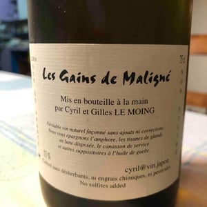 Gains de Maligné - Cyril Le Moing - Cyril Le Moing 