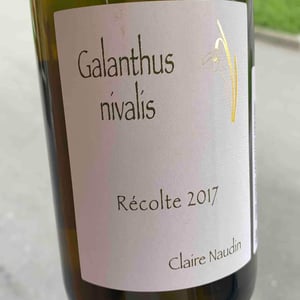 Galathus Nivalis - Domaine Henri Naudin-Ferrand - Claire Naudin 