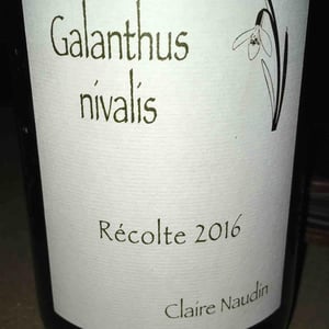 Galathus Nivalis - Domaine Henri Naudin-Ferrand - Claire Naudin 