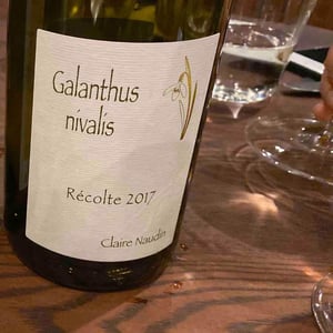 Galathus Nivalis - Domaine Henri Naudin-Ferrand - claire-naudin
