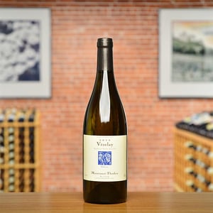 Galerne - Domaine de La Soeur Cadette - jean-valentin-montanet -2020