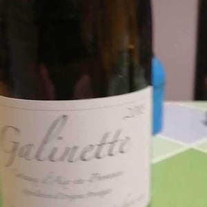 Domaine de Sulauze - Karina & Guillaume Lefèvre - Galinette