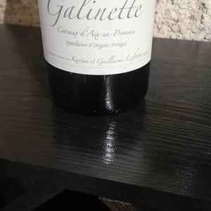 Galinette - Domaine de Sulauze - karina-guillaume-lefevre -2017
