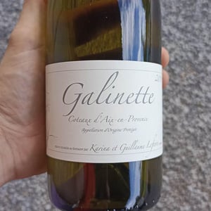 Galinette - Domaine de Sulauze - karina-guillaume-lefevre -2017