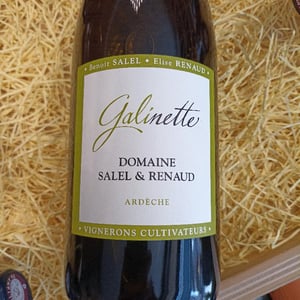 Galinette - Salel Et Renaud - elise-renaud-benoit-salel -2022