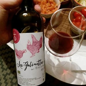 Galinettes Rouges - Enclos De La Croix - francois-frezouls