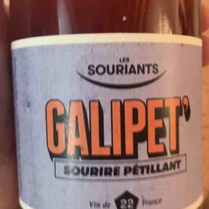 Galipet' - Domaine Les Souriants - Maxime Troncy & Damien Polosse 