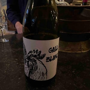 Gall Blanc 2020 - Ramon Jané Viticultor - Ramón Jané