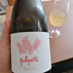 Galipette - Vignobles Pueyo - Christophe Pueyo 