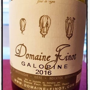 Galopine - Domaine Finot - Thomas Finot 