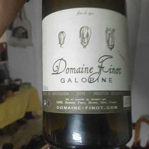 Galopine - Domaine Finot - Thomas Finot 